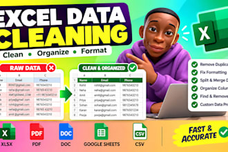 clean, organize, and format excel or CSV data