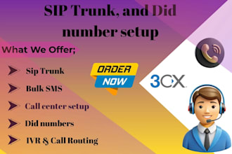 setup sip trunk did number for inbound outbound calls