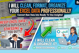 clean format and organize excel data