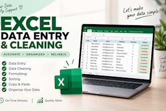 do excel data entry and data cleaning