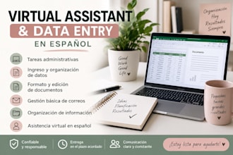 provide professional virtual assistant and data entry services in spanish