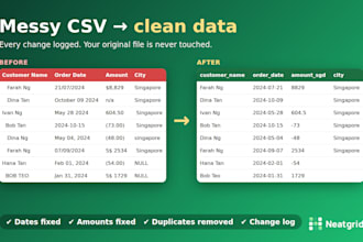 clean and normalize your business CSV for import
