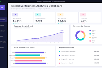provide professional business analysis and requirements documentation