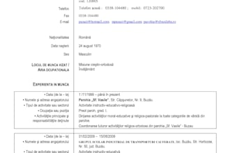 create a professional  CV and resume design