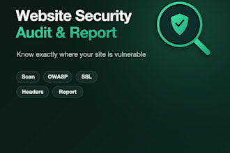 do a professional website security audit