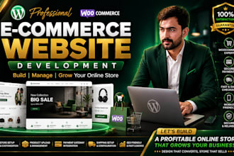 build a professional responsive ecommerce website