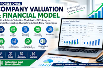 build a company valuation model financial model  cash flow forecast and analysis