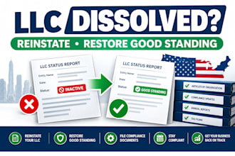 reinstate your US llc, file annual report and restore good standing