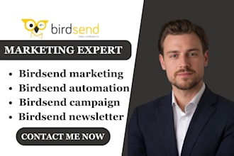 setup birdsend email marketing birdsend creator newsletter revenue tracking