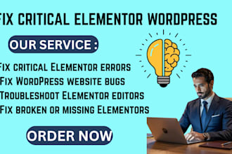 fix critical elementor word press website errors bugs form responsive issues