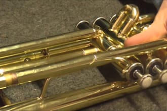 record professional sax, trumpet, flute, bassoon, harmonica, trombone, and more
