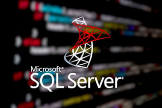 build, manange and maintain ms sql database