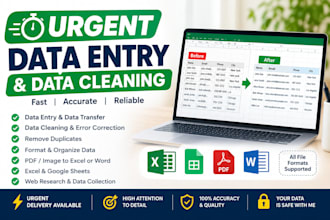do urgent data entry and data cleaning