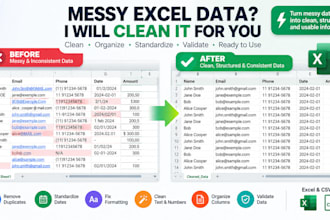 clean organize format and validate your excel or CSV data