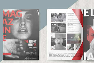 redesign your exisiting magazine into a modern professional layout