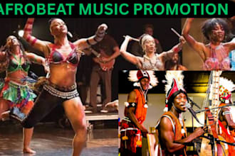 pitch your afrobeat song to targeted spotify playlists