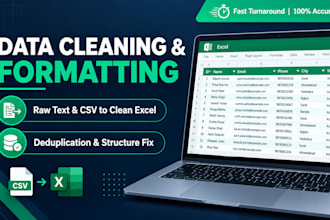clean and format your raw data into exce