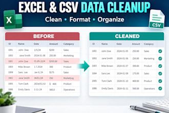 clean, format, and organize your excel or CSV data