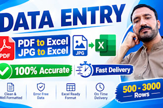 do 100 percent manual PDF to excel jpg to google sheets data entry in 24