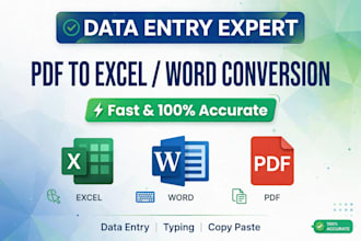 convert pdf to excel , image to excel , data entry work