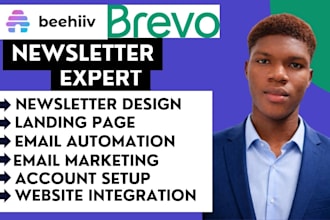 brevo email marketing beehvil newsletter beehive beehvil brevo newsletter brevo