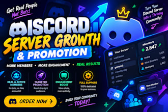 professional discord server growth, discord server promotion