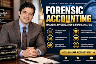provide forensic accounting, financial investigation and fraud analysis