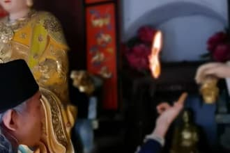 give you a 1 on 1 zi wei dou shu divination video consultation