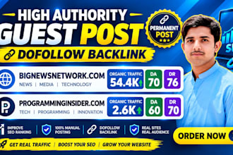 do guest post on bignewsnetwork,com and programminginsider,com