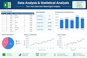 do statistical data analysis using spss and excel