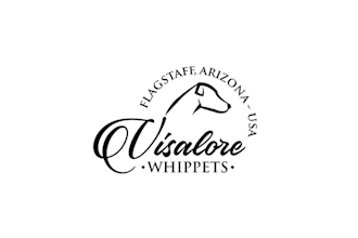 design an elegant logo for performance and show dogs