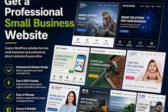 do a professional small business website