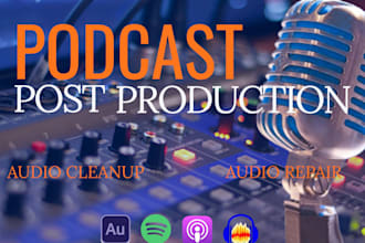 do post production, audio repair and audio cleanup