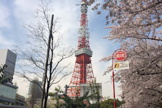 be your reliable personal shopper and buying agent in japan