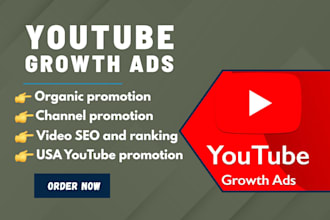 promote your youtube channel to USA audience with ads