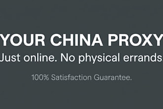be your online chinese market researcher and data collector