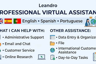 be your multilingual virtual assistant for admin and customer support