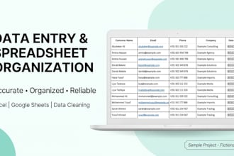 do data entry, spreadsheet organization and data cleaning