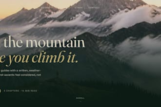do the best website designing