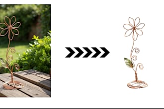do expert background removal and product recoloring