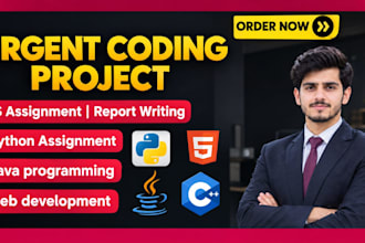 do urgent coding assignments in python programming, html, java, cpp,project