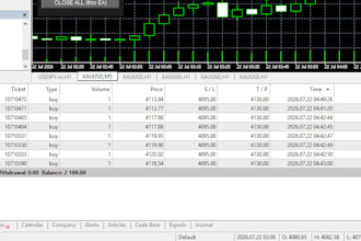 set up profitable forex ea bot, forex trading bot, gold ea, prop account