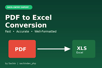 do PDF to excel conversion and data entry