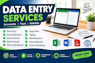 do data entry, excel to word, word to excel and typing
