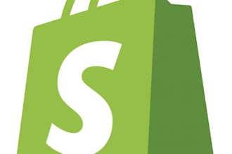 perform a complete shopify SEO audit