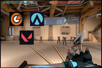 coach you or your competitive team in valorant