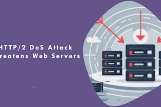 secure your vpn server from attack ddos attack brute force attack
