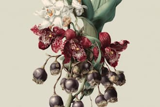 illustrate best botanical illustration and art