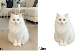 do expert background removal and object removal
