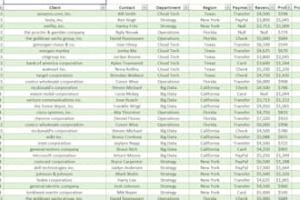 excel data cleaning,analysis and dashbaord